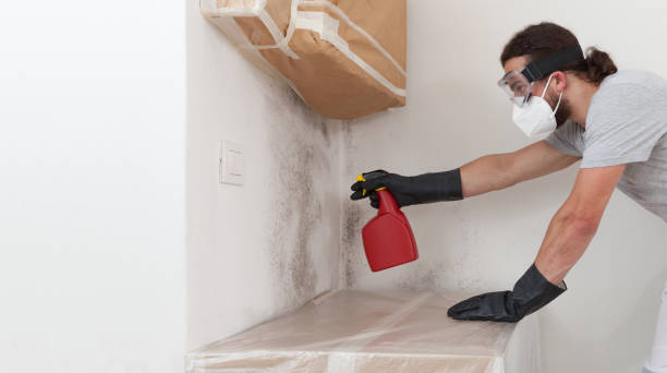 Professional Bathroom Mold Removal technician working in Hillside, NJ