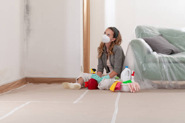 Reliable Bathroom Mold Removal contractor in Hillside, NJ by WQB Mold Removal
